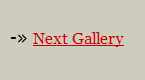 Next Gallery